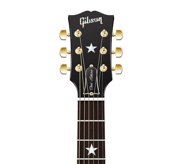 Dave Matthews's Gibson Chet Atkins SST Guitar Poster, Wall Decor, Guitar Print, Guitar Art