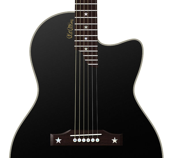 Dave Matthews's Gibson Chet Atkins SST Guitar Poster, Wall Decor, Guitar Print, Guitar Art