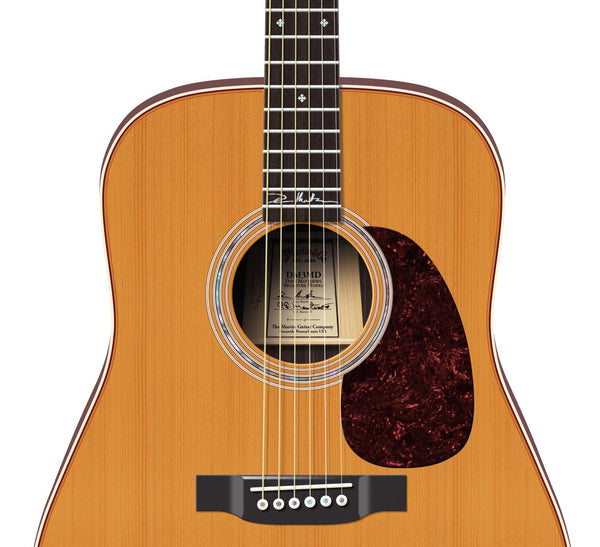 Dave Matthews's Martin DM3MD Guitar Poster, Wall Decor, Guitar Print, Guitar Art