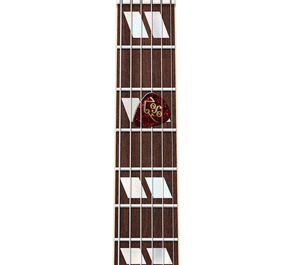 Jimmy Page's Gibson EDS1275 Doubleneck Guitar Poster, Wall Decor, Guitar Print, Guitar Art